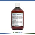 https://erp.cloudspot.be/media/stock/DesinPhyt_Spray_500ml.jpg