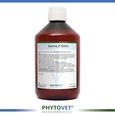 https://erp.cloudspot.be/media/stock/Derma_Z_500ml.jpg